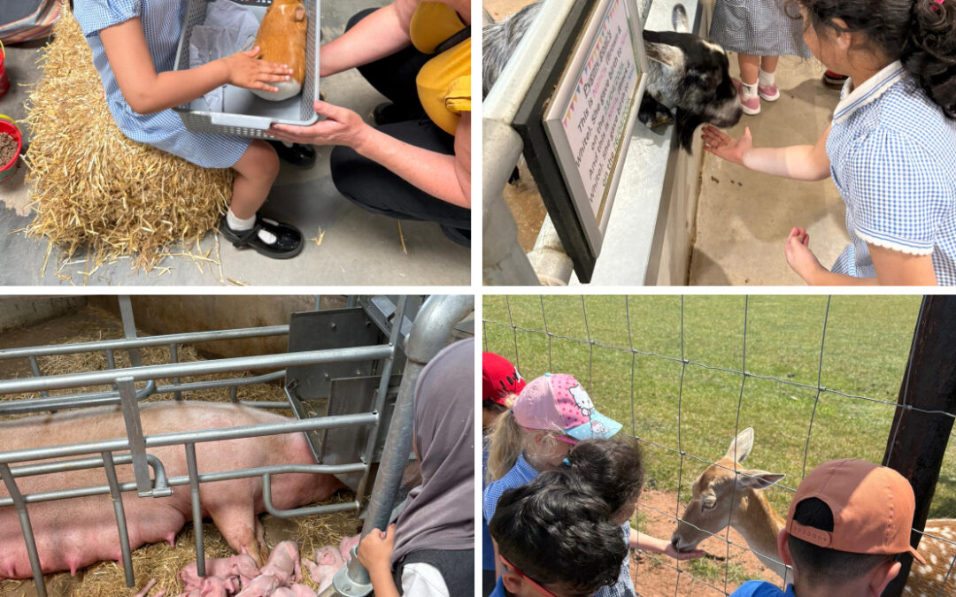 Reception’s visit to the farm!