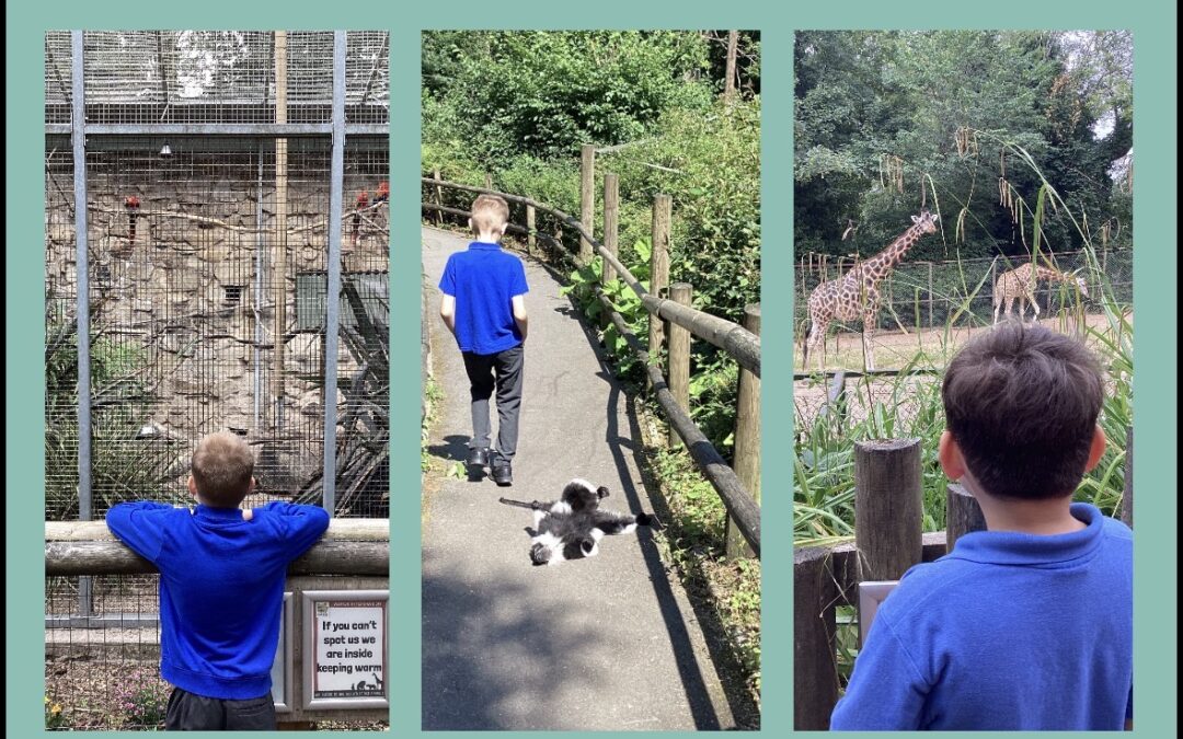 Trip to the Zoo