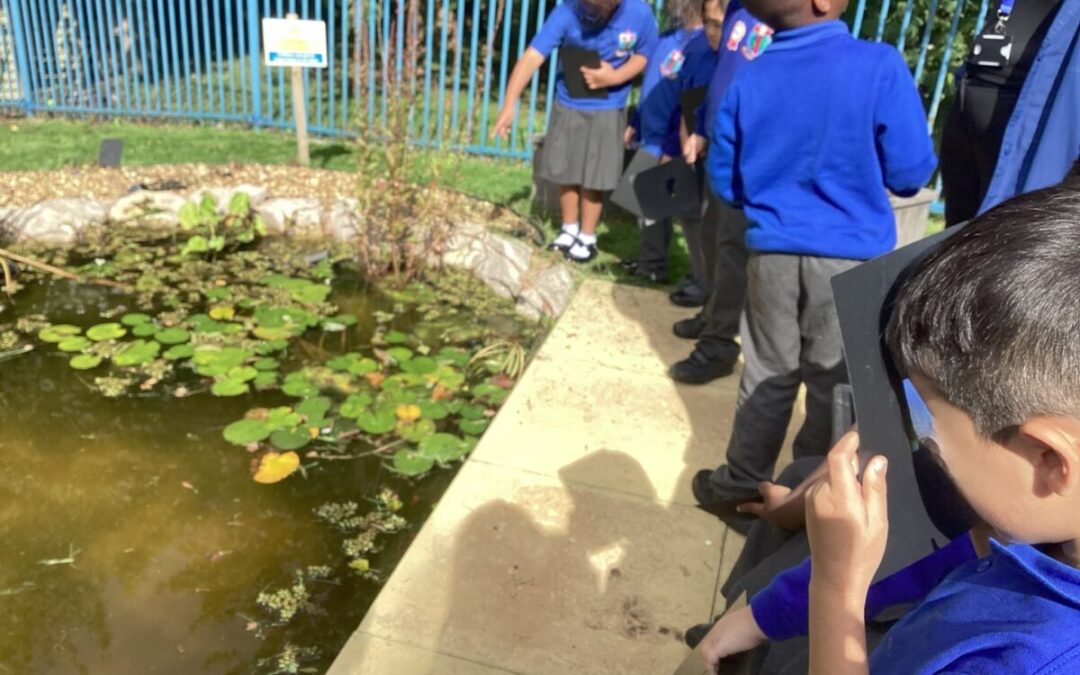 Year 1 visit Pilgrim’s Pond